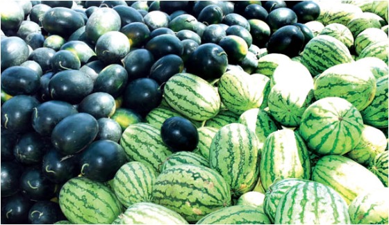 Fruits and vegetables have high water content, contributing to hydration