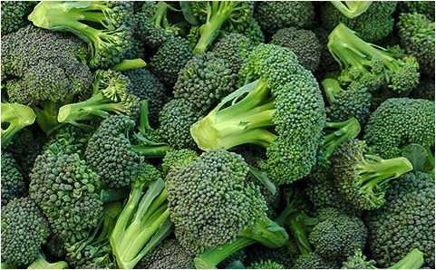 Broccoli is a remarkable vegetable that boasts an array of health benefits