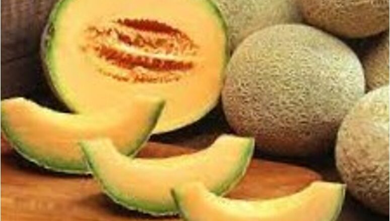 Wonderful Benefits of Muskmelons