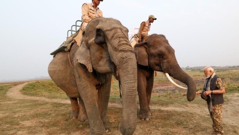 PM Modi Explores Kaziranga National Park with Elephant and Jeep Safari