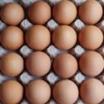 US egg prices soar to yearly high amid bird flu, holiday demand