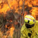 Australia prepares for catastrophic bushfire over Christmas period