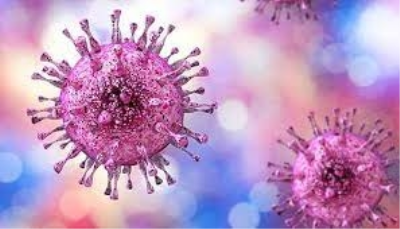 1 person globally acquires new genital herpes infection every second: WHO