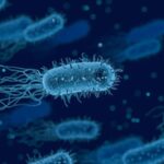 Israeli researchers discover virus defence system in marine bacteria