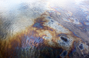 NIT Rourkela develops eco-friendly biofilm to mitigate impact of industrial oil spills, chemical waste