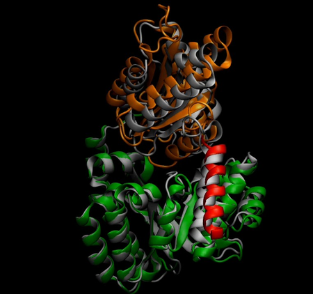 Microsoft’s new AI system to help decode protein motion, advance drug discovery: Satya Nadella