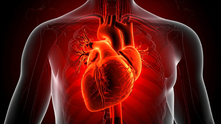 New AI tool more accurate than cardiologists to spot hidden heart disease