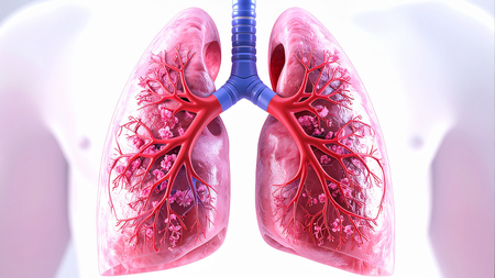 Lung TB: Higher dose of rifampicin safe, can boost recurrence-free survival, says ICMR study
