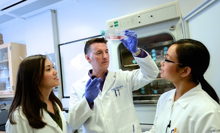 Study finds that agricultural dust can put gut health at risk