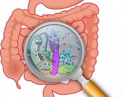 <div>A pill to change gut microbiome key to fight obesity, related heart disease & diabetes risk</div>