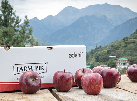 Adani Agri Fresh begins apple procurement at Rs 85 per kg in Himachal Pradesh