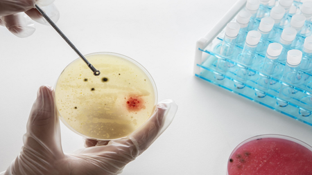Airborne pathogens behind lung, gut infections 2x more in high-populated regions: Study