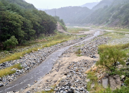 <div>South Korea: Water storage rate at drought-hit Gangneung’s reservoir rises for 1st time in 52 days</div>