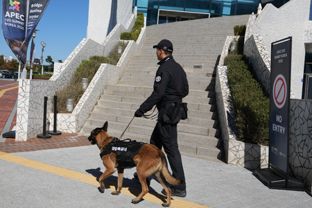South Korea: World leaders, delegates begin arriving in Gyeongju ahead of APEC summit