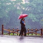 Heavy rain to persist in Kerala; IMD issues yellow alert for multiple districts