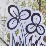 Trinamool plans mega anti-SIR rally in Kolkata on day one of 1st stage of revision exercise