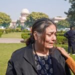 <div>‘August 11 order returns’: Supreme Court advocates on stray dog removal directive</div>