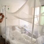 <div>Pakistan: One more dengue death takes Sindh’s official tally to 26</div>