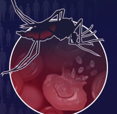 Over 6 lakh lives lost due to malaria in 2024, drug resistance a major threat: WHO