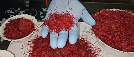 <div>J&K residents joyous, hopeful of high demand after PM Modi gifts Kashmiri saffron to Putin</div>