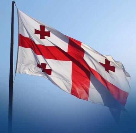 Former Georgian defence minister detained over attempted govt overthrow accusation