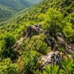 SC’s crucial suo motu hearing on Aravalli definition tomorrow