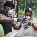 NIMR teams collect blood, swab samples from bats at Alipore Zoological Garden to check for Nipah virus