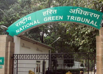 NGT orders action over failed tree plantations, alleged fund misuse in Rajasthan Forest Areas