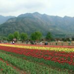 <div>J&K L-G orders reopening of 11 tourist spots in Valley, 3 in Jammu division</div>