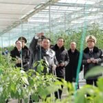 North Korea inaugurates greenhouse farm in Sinuiju ahead of key party congress