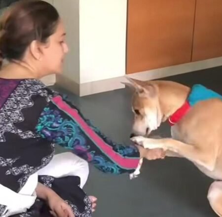 Madhuri Dixit spends fun time with her fur babies, Dr Nene shares cute video