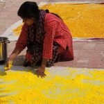 Aromatherapy-based gulal being prepared in Bhagalpur for Holi, women associated with SHGs leading unique initiative