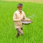 Govt assures steady fertiliser supplies through import diversification, capacity expansion