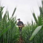 <div>Pakistan’s farm sector faces fertiliser shortage as Iran war hits supply</div>