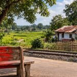 <div>How the colour red has faded over time in West Bengal’s Naxalbari</div>
