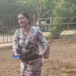 <div>Ankita Lokhande picks cow dung with bare hands, embraces ‘Gau Seva’</div>