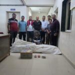 Illegal cannabis cultivation busted in Gujarat; cops seize drugs, arrest one