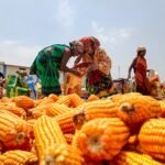 Govt bears burden of elevated global fertiliser prices to safeguard farmers: Goyal