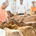 Protecting cows is our fundamental duty: Reactions pour in over CM Yogi’s remarks