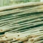<div>Bamboo to play key role in Assam’s bio-economy: CM Himanta Biswa Sarma</div>