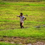 <div>India’s economy now less vulnerable to monsoon shocks: Report</div>