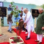 <div>Ahmedabad’s plantation campaign may lower temperature by 5 pc, says Amit Shah</div>