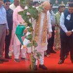 <div>‘My personal resolve’: Amit Shah targets 20 pc green cover in Gandhinagar by 2029</div>