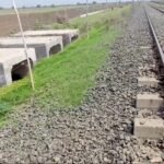 <div>India’s first railway lion underpass completed in Gujarat</div>