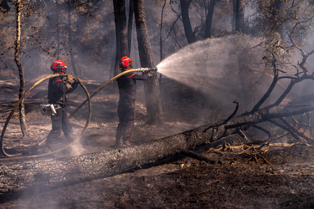 Macron thanks firefighters and security forces for efforts amid wildfires