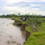 Assam govt to rope in IIT Guwahati experts to check river erosion