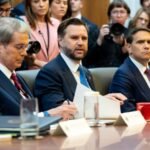 <div>Trump administration’s fraud drive identifies $230 billion in improper payments: JD Vance</div>