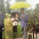 Agricultural scientists help South Gujarat farmers revive flood-hit orchards with restoration methods