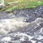 <div>Untreated sewage continues to flow into Noyyal River in TN’s Coimbatore as STP project stalled</div>