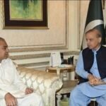 <div>Pakistan: ‘All-powerful’ Interior Minister Naqvi’s remarks jolt ruling coalition</div>